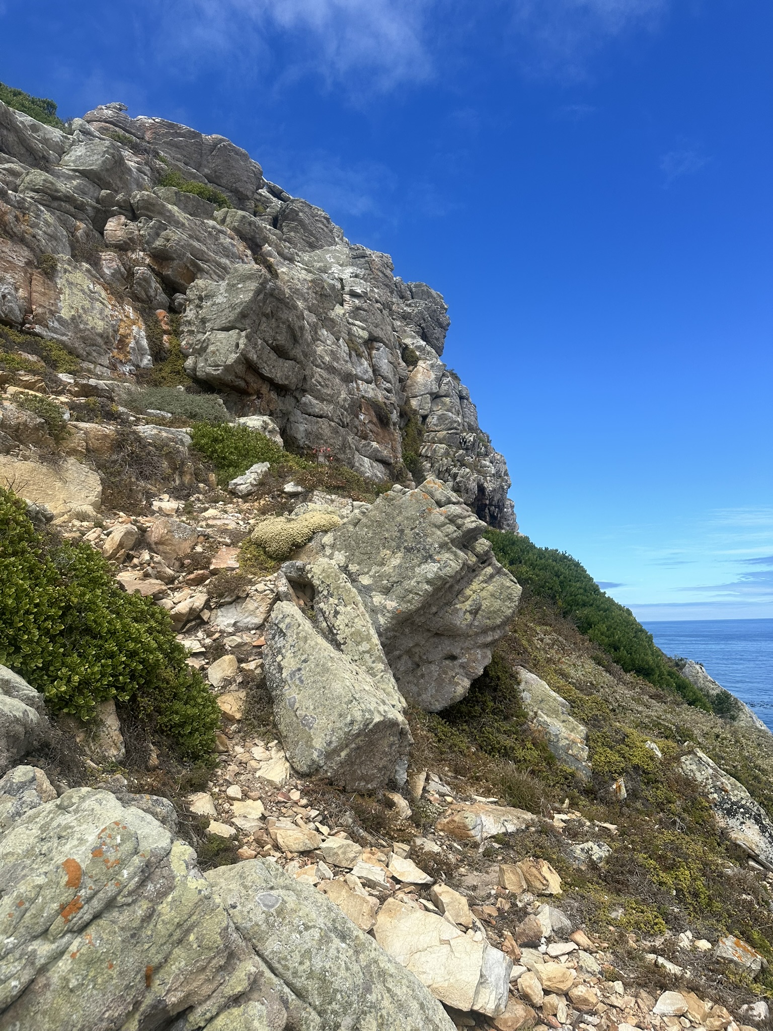 South Africa - Image 424